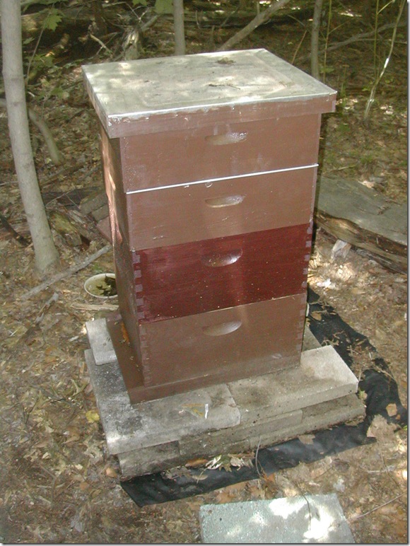 West Nyack Honey Honey from West Nyack, NY